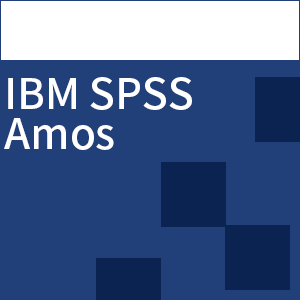 IBM SPSS Amos 31 一般向け