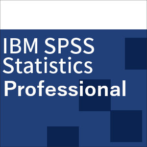 IBM SPSS Statistics Professional 31 ��ʌ���