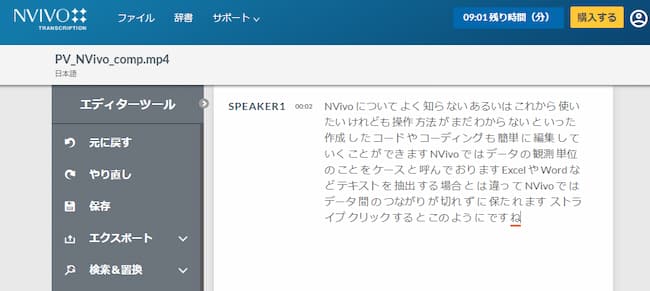 NVivo TranscriptionŕNe